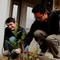 Students plant landscaping outside a building.
