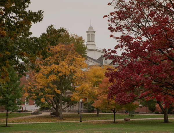 Some trees on the quad during fall.