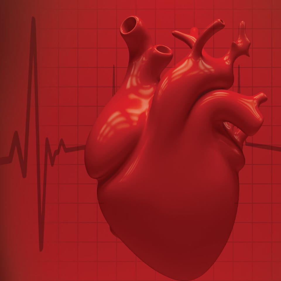 3D model of a red human heart with an ECG line in the background.