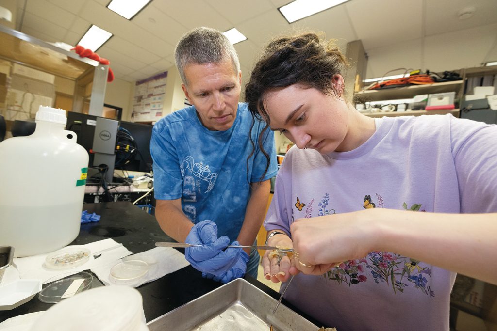 Dr. Wolfgang Stein works with then-undergraduate Charlotte Steiger ‘24 in the Crab Lab. Students like Steiger are conducting many of the experiments for Stein’s Kavli Foundation-supported research project.