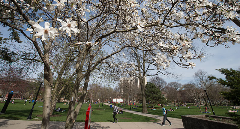Flowering trees, green grass, and students sitting on the quad.